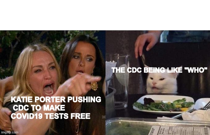 k.p. vs cdc | THE CDC BEING LIKE "WHO"; KATIE PORTER PUSHING
 CDC TO MAKE 
COVID19 TESTS FREE | image tagged in memes,woman yelling at cat | made w/ Imgflip meme maker