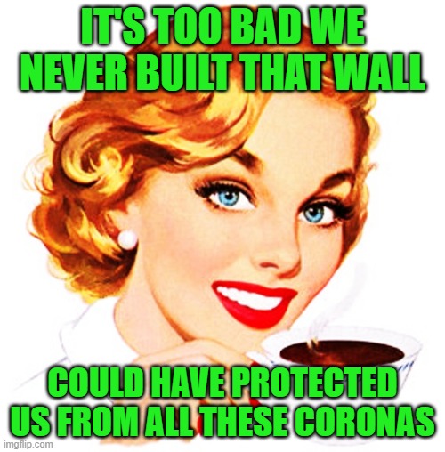 Here's An Idea For You | IT'S TOO BAD WE NEVER BUILT THAT WALL; COULD HAVE PROTECTED US FROM ALL THESE CORONAS | image tagged in here's an idea for you | made w/ Imgflip meme maker