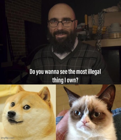 image tagged in memes,grumpy cat,doge,do you want to see the most illegal thing i own | made w/ Imgflip meme maker