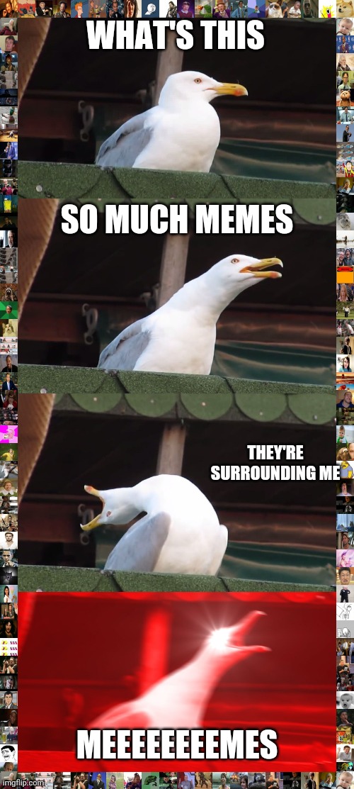 Inhaling Seagull | WHAT'S THIS; SO MUCH MEMES; THEY'RE SURROUNDING ME; MEEEEEEEEMES | image tagged in memes,inhaling seagull | made w/ Imgflip meme maker