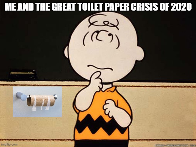 Charlie Brown | ME AND THE GREAT TOILET PAPER CRISIS OF 2020 | image tagged in charlie brown | made w/ Imgflip meme maker