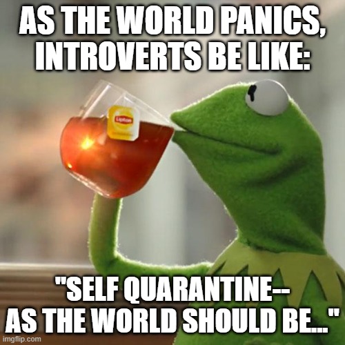 But That's None Of My Business Meme | AS THE WORLD PANICS, INTROVERTS BE LIKE:; "SELF QUARANTINE-- AS THE WORLD SHOULD BE..." | image tagged in memes,but thats none of my business,kermit the frog | made w/ Imgflip meme maker