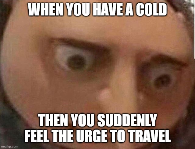 Nervous Gru | WHEN YOU HAVE A COLD; THEN YOU SUDDENLY FEEL THE URGE TO TRAVEL | image tagged in nervous gru | made w/ Imgflip meme maker