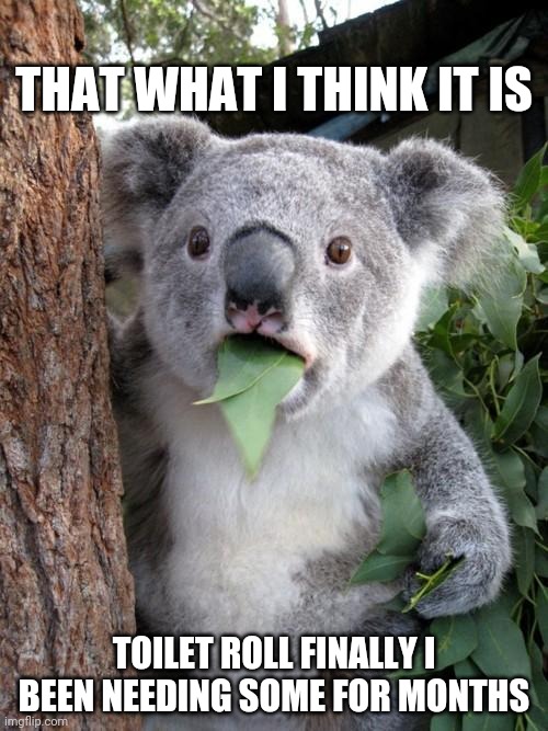 Surprised Koala | THAT WHAT I THINK IT IS; TOILET ROLL FINALLY I BEEN NEEDING SOME FOR MONTHS | image tagged in memes,surprised koala | made w/ Imgflip meme maker