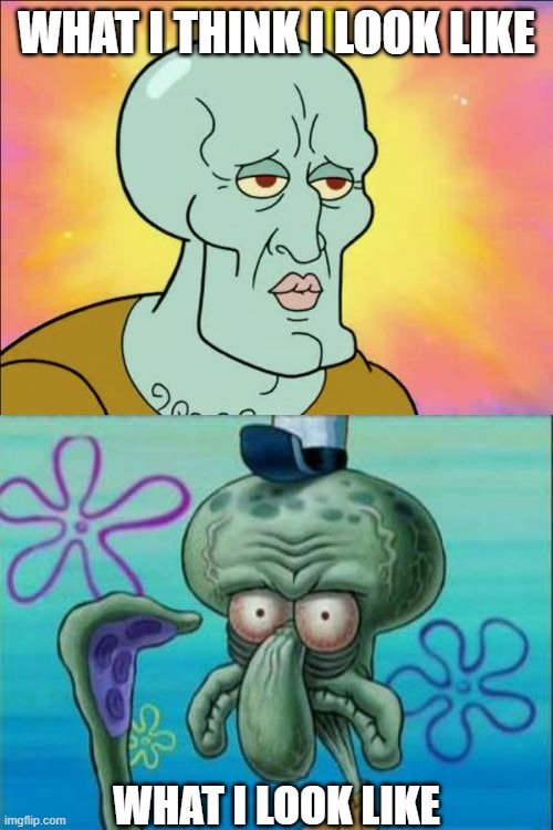 Squidward | WHAT I THINK I LOOK LIKE; WHAT I LOOK LIKE | image tagged in memes,squidward | made w/ Imgflip meme maker