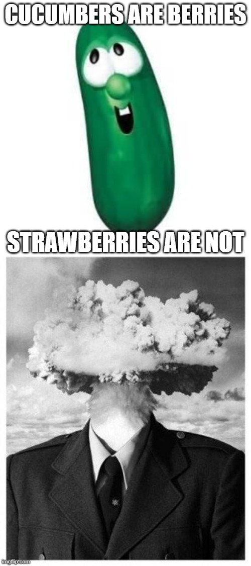 TIL that the world doesn't make sense at all | CUCUMBERS ARE BERRIES; STRAWBERRIES ARE NOT | image tagged in mind blown,larry the cucumber did you know,strawberries,facts,no logic,memes | made w/ Imgflip meme maker