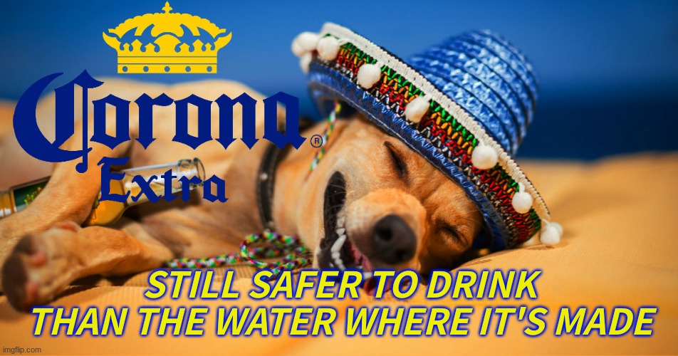 Now on sale... | STILL SAFER TO DRINK THAN THE WATER WHERE IT'S MADE | image tagged in corona,day at the beach | made w/ Imgflip meme maker