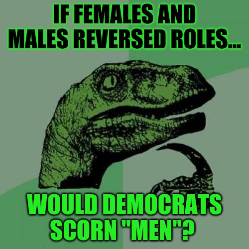 Philosoraptor Meme | IF FEMALES AND MALES REVERSED ROLES... WOULD DEMOCRATS SCORN "MEN"? | image tagged in memes,philosoraptor | made w/ Imgflip meme maker