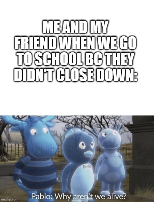 ME AND MY FRIEND WHEN WE GO TO SCHOOL BC THEY DIDN'T CLOSE DOWN: | image tagged in blank white template,pablo why aren't we alive | made w/ Imgflip meme maker