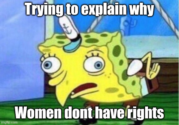 Mocking Spongebob | Trying to explain why; Women dont have rights | image tagged in memes,mocking spongebob | made w/ Imgflip meme maker