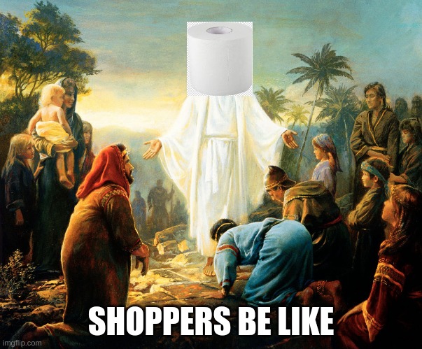 Shoppers be Like | SHOPPERS BE LIKE | image tagged in toilet paper,god,funny,memes | made w/ Imgflip meme maker