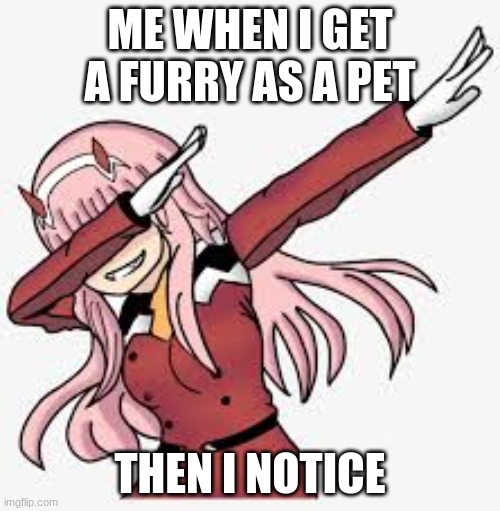zero two | ME WHEN I GET A FURRY AS A PET; THEN I NOTICE | image tagged in zero two | made w/ Imgflip meme maker