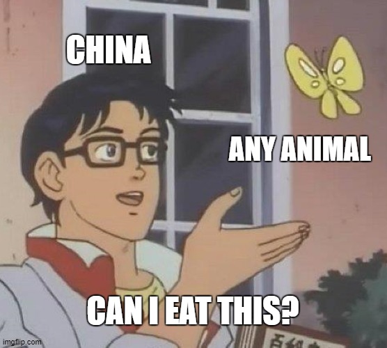 Is This A Pigeon Meme | CHINA; ANY ANIMAL; CAN I EAT THIS? | image tagged in memes,is this a pigeon | made w/ Imgflip meme maker