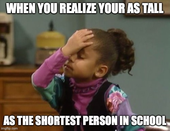 forehead slap | WHEN YOU REALIZE YOUR AS TALL; AS THE SHORTEST PERSON IN SCHOOL | image tagged in forehead slap | made w/ Imgflip meme maker