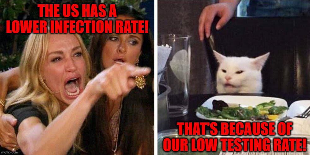 We're flying blind because we're not testing. | THE US HAS A LOWER INFECTION RATE! THAT'S BECAUSE OF OUR LOW TESTING RATE! | image tagged in smudge the cat,memes,politics | made w/ Imgflip meme maker