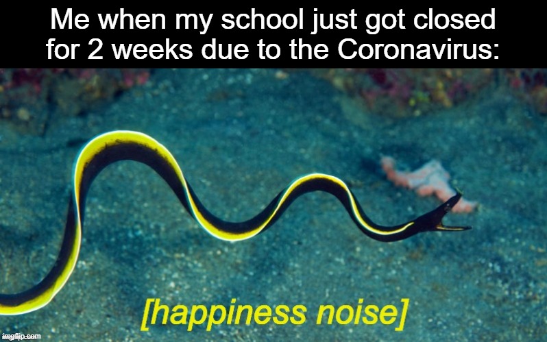 HELL YEA | Me when my school just got closed for 2 weeks due to the Coronavirus: | image tagged in happiness noise eel,fuck yeah,hell yeah,coronavirus,corona | made w/ Imgflip meme maker