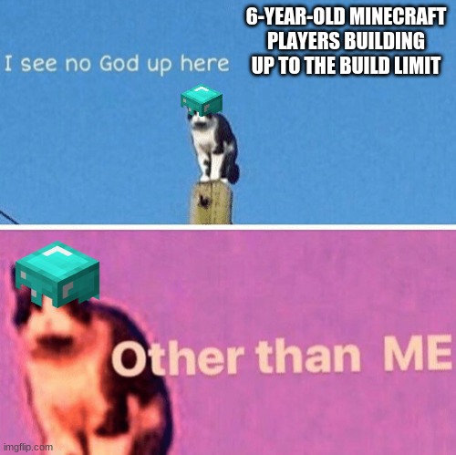 Hail pole cat | 6-YEAR-OLD MINECRAFT PLAYERS BUILDING UP TO THE BUILD LIMIT | image tagged in hail pole cat | made w/ Imgflip meme maker