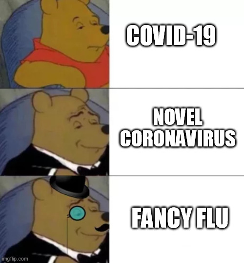 i said good day sir | COVID-19; NOVEL CORONAVIRUS; FANCY FLU | image tagged in fancy pooh,fancy flu,coronavirus,corona | made w/ Imgflip meme maker