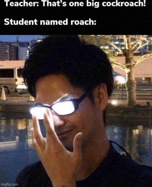 Dammit roach, not you | image tagged in cock,cockroach,funny,funny memes | made w/ Imgflip meme maker