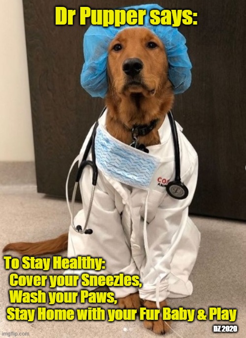 The Dr Pupper Says to stay healthy | Dr Pupper says:; To Stay Healthy:           Cover your Sneezles,                  
  Wash your Paws,    Stay Home with your Fur Baby & Play; DZ 2020 | image tagged in dog,covid-19,coronavirus,doctor,sneezing,washing hands | made w/ Imgflip meme maker