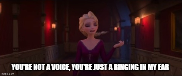 You're not a voice, you're just a ringing in my ear | image tagged in frozen 2,elsa,elsa frozen | made w/ Imgflip meme maker