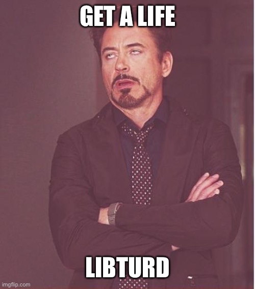 Face You Make Robert Downey Jr Meme | GET A LIFE LIBTURD | image tagged in memes,face you make robert downey jr | made w/ Imgflip meme maker