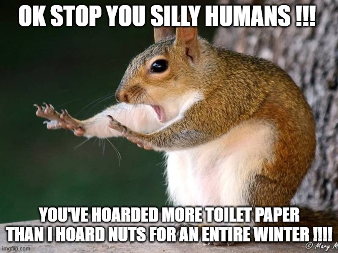 OK STOP YOU SILLY HUMANS !!! YOU'VE HOARDED MORE TOILET PAPER THAN I HOARD NUTS FOR AN ENTIRE WINTER !!!! | image tagged in people are nuts,toilet paper | made w/ Imgflip meme maker