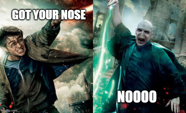 Harry Potter - Voldemort | GOT YOUR NOSE; NOOOO | image tagged in harry potter - voldemort | made w/ Imgflip meme maker