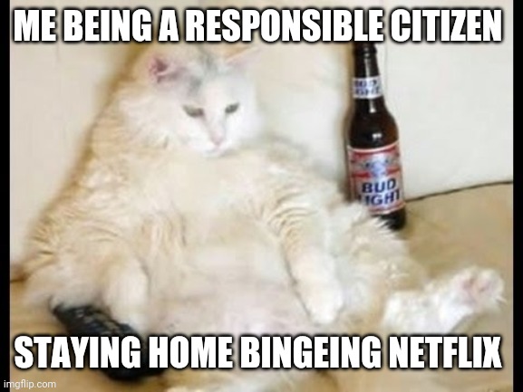Cat watching TV with beer | ME BEING A RESPONSIBLE CITIZEN; STAYING HOME BINGEING NETFLIX | image tagged in cat watching tv with beer,coronavirus,corona,corona virus | made w/ Imgflip meme maker