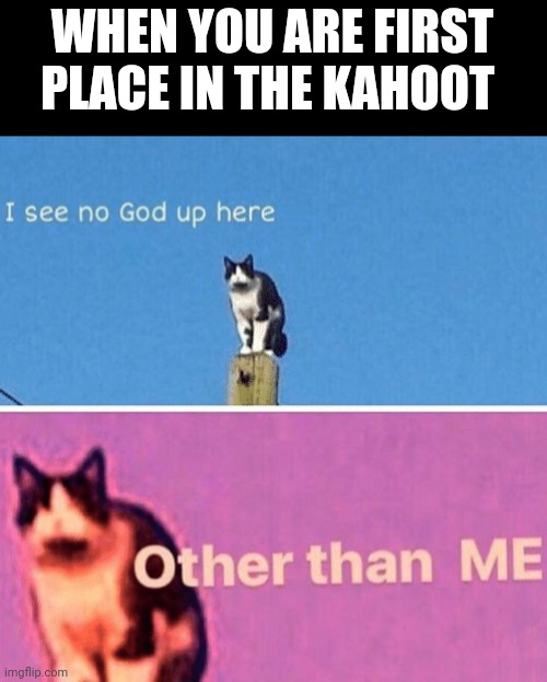 Hail pole cat | WHEN YOU ARE FIRST PLACE IN THE KAHOOT | image tagged in hail pole cat | made w/ Imgflip meme maker