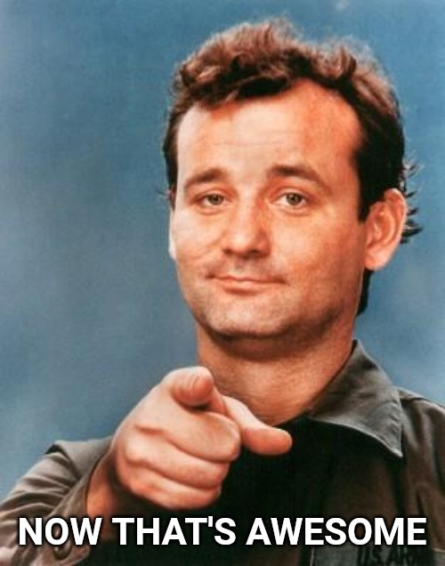 Bill Murray You're Awesome | NOW THAT'S AWESOME | image tagged in bill murray you're awesome | made w/ Imgflip meme maker