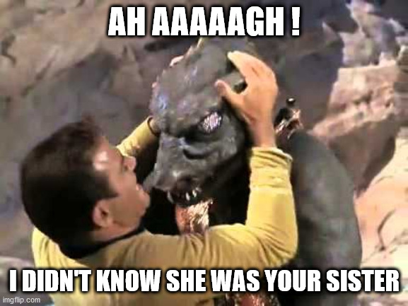 I didn't know she was your sister | AH AAAAAGH ! I DIDN'T KNOW SHE WAS YOUR SISTER | image tagged in kirk,kirky star trek | made w/ Imgflip meme maker