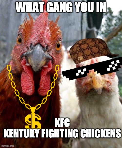 gangster chickens | WHAT GANG YOU IN; KFC
KENTUKY FIGHTING CHICKENS | image tagged in gangster chickens | made w/ Imgflip meme maker