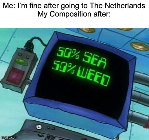 hah weed joke |  Me: I’m fine after going to The Netherlands
My Composition after: | image tagged in 50 sea 50 weed,funny,memes | made w/ Imgflip meme maker