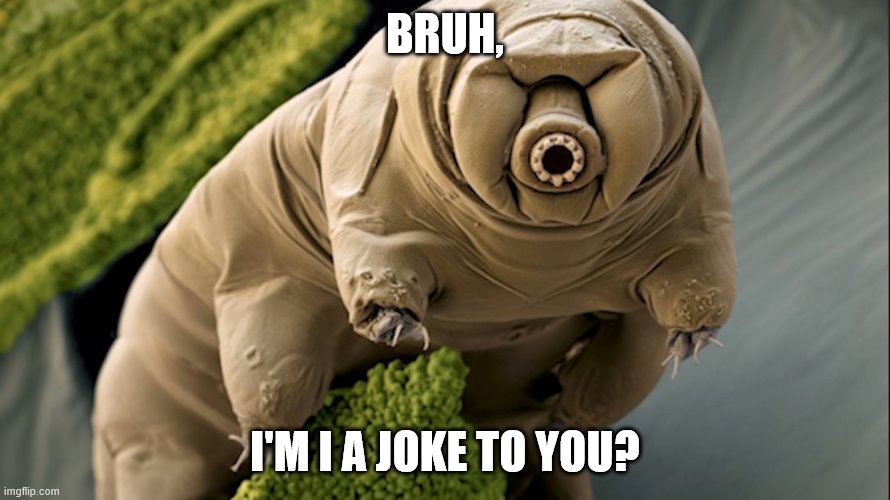 BRUH, I'M I A JOKE TO YOU? | image tagged in tardigrade | made w/ Imgflip meme maker