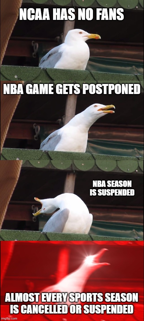Inhaling Seagull Meme | NCAA HAS NO FANS; NBA GAME GETS POSTPONED; NBA SEASON IS SUSPENDED; ALMOST EVERY SPORTS SEASON IS CANCELLED OR SUSPENDED | image tagged in memes,inhaling seagull | made w/ Imgflip meme maker