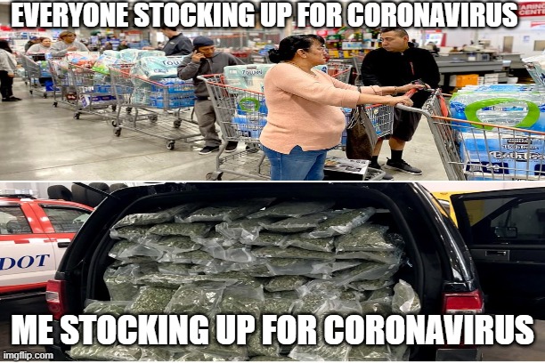 coronavirus | EVERYONE STOCKING UP FOR CORONAVIRUS; ME STOCKING UP FOR CORONAVIRUS | image tagged in coronavirus,stoner,2020,pandemic,funny,toilet paper | made w/ Imgflip meme maker