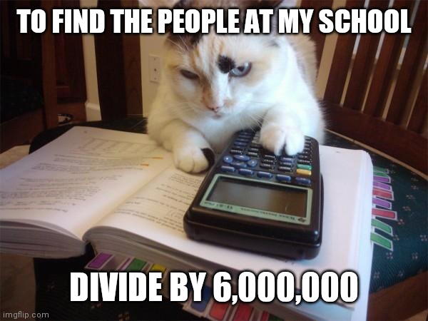 Math cat | TO FIND THE PEOPLE AT MY SCHOOL DIVIDE BY 6,000,000 | image tagged in math cat | made w/ Imgflip meme maker