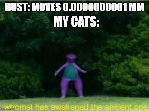 Whomst has awakened the ancient one | MY CATS:; DUST: MOVES 0.0000000001 MM | image tagged in whomst has awakened the ancient one | made w/ Imgflip meme maker