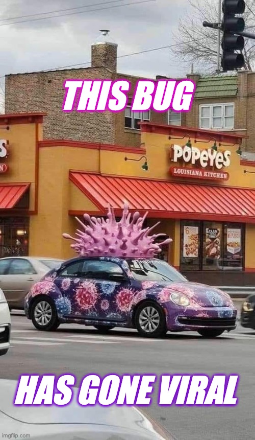 Gone Viral | THIS BUG; HAS GONE VIRAL | image tagged in bug,viral,vw | made w/ Imgflip meme maker