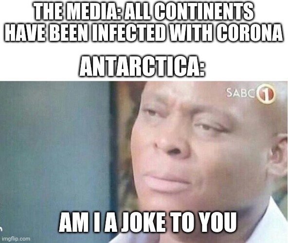 I'll be moving to Antarctica | THE MEDIA: ALL CONTINENTS HAVE BEEN INFECTED WITH CORONA; ANTARCTICA:; AM I A JOKE TO YOU | image tagged in am i a joke to you,antarctica,coronavirus,why am i doing this | made w/ Imgflip meme maker