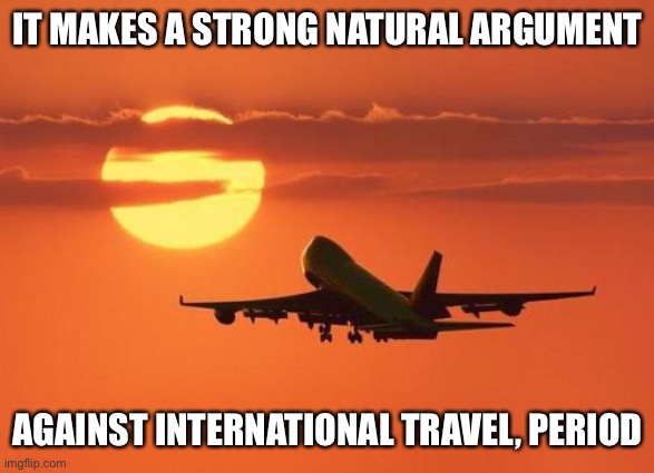 airplanelove | IT MAKES A STRONG NATURAL ARGUMENT AGAINST INTERNATIONAL TRAVEL, PERIOD | image tagged in airplanelove | made w/ Imgflip meme maker
