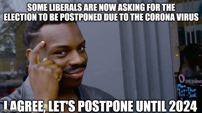 Roll Safe Think About It Meme |  SOME LIBERALS ARE NOW ASKING FOR THE ELECTION TO BE POSTPONED DUE TO THE CORONA VIRUS; I AGREE, LET'S POSTPONE UNTIL 2024 | image tagged in memes,roll safe think about it | made w/ Imgflip meme maker
