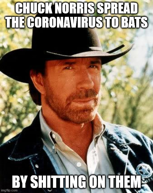 Chuck Norris Meme | CHUCK NORRIS SPREAD THE CORONAVIRUS TO BATS; BY SHITTING ON THEM | image tagged in memes,chuck norris | made w/ Imgflip meme maker