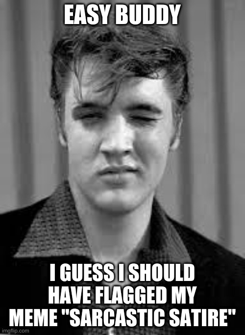 Elvis | EASY BUDDY I GUESS I SHOULD HAVE FLAGGED MY MEME "SARCASTIC SATIRE" | image tagged in elvis | made w/ Imgflip meme maker