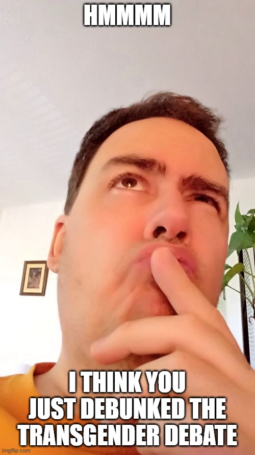 Hmmm | HMMMM I THINK YOU JUST DEBUNKED THE TRANSGENDER DEBATE | image tagged in hmmm | made w/ Imgflip meme maker