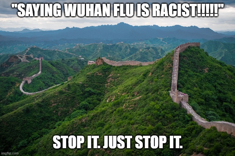 great wall of china | "SAYING WUHAN FLU IS RACIST!!!!!"; STOP IT. JUST STOP IT. | image tagged in great wall of china | made w/ Imgflip meme maker