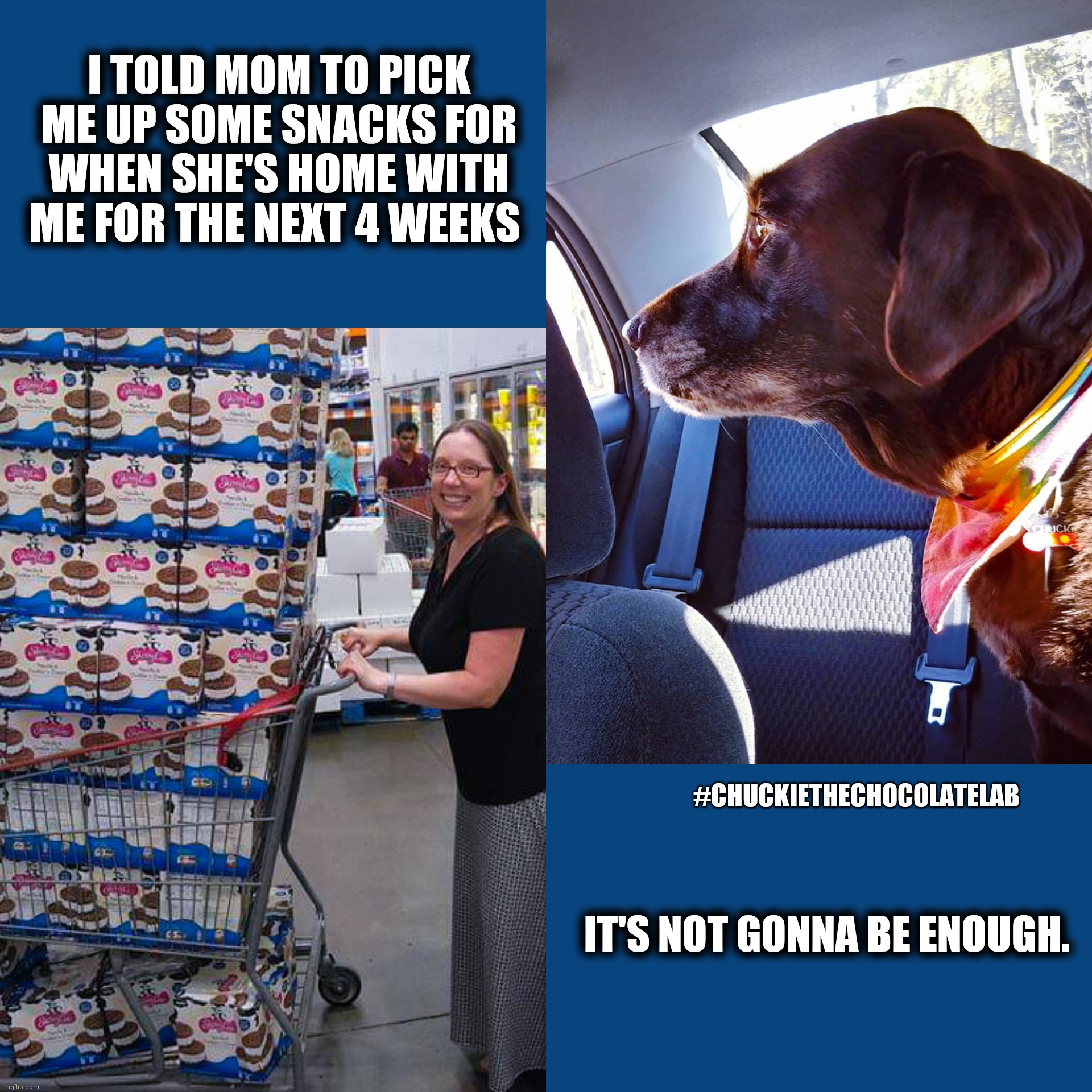 Coronavirus supplies | I TOLD MOM TO PICK ME UP SOME SNACKS FOR WHEN SHE'S HOME WITH ME FOR THE NEXT 4 WEEKS; IT'S NOT GONNA BE ENOUGH. #CHUCKIETHECHOCOLATELAB | image tagged in chuckie the chocolate lab,coronavirus,memes,dogs,funny,snacks | made w/ Imgflip meme maker