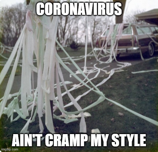 CORONAVIRUS; AIN'T CRAMP MY STYLE | image tagged in toilet paper,coronavirus | made w/ Imgflip meme maker