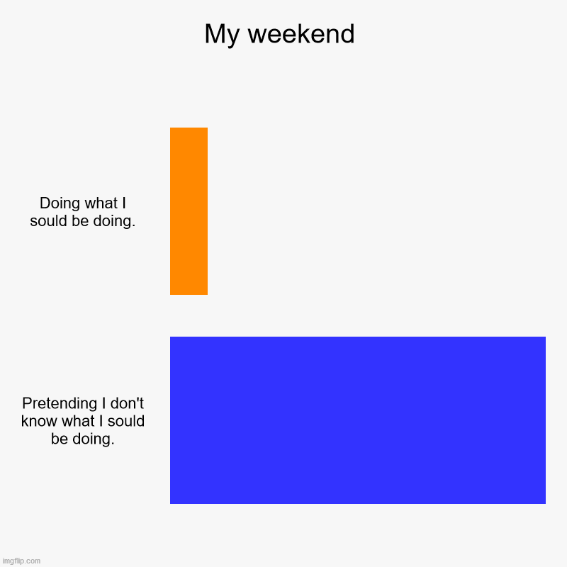 My weekend | Doing what I sould be doing., Pretending I don't know what I sould be doing. | image tagged in charts,bar charts | made w/ Imgflip chart maker